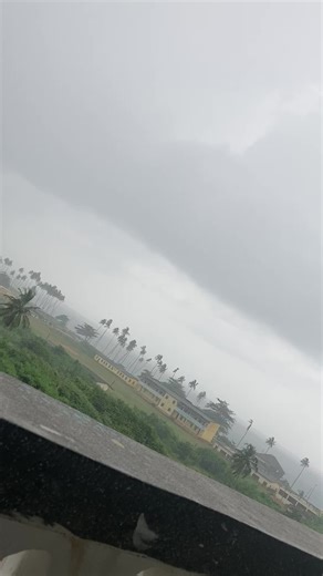 IOU IOU (@iouiou38)’s videos with original sound - IOU IOU