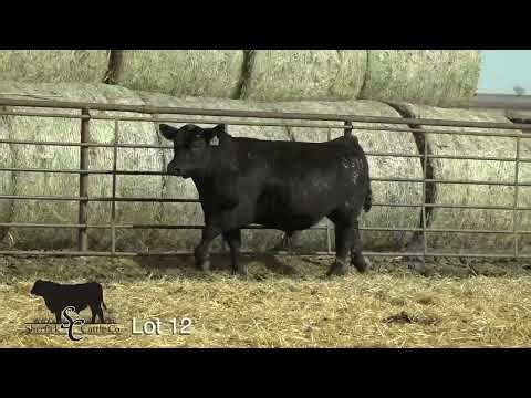 Lot 12, SC Fireproof 83M