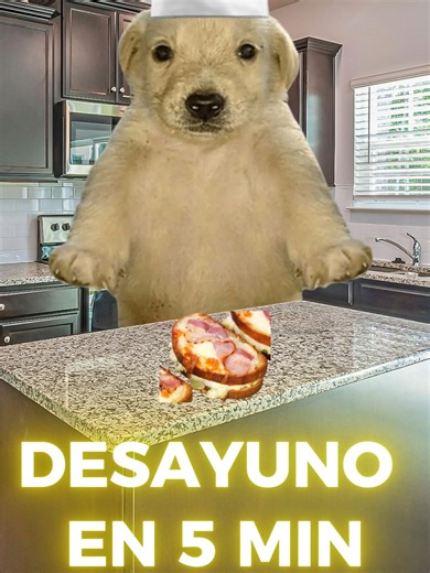 Desayuno en 5 minutos: Recetas deliciosas y saludables