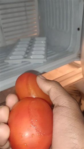 tomato testing with fridge ☝️ #shorts