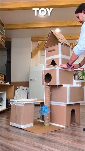 Purr-fect DIY Cat Castle! 🏰✨ Your Feline Friend Will Love This!