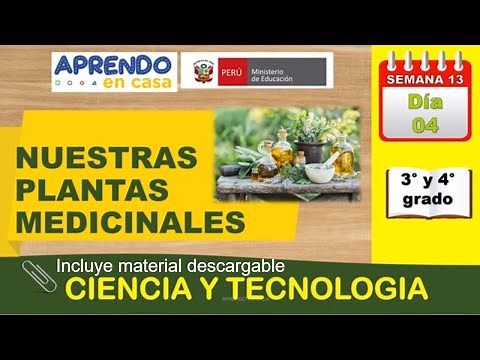 Nuestras plantas medicinales - PRIMARIA 3er y 4º grado - Aprendo en casa - Ciencia y tecnología