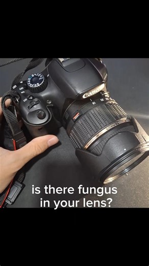 verifying fungus in your lens and how to sterilise it #photography #tutorial #cleaning #fungus
