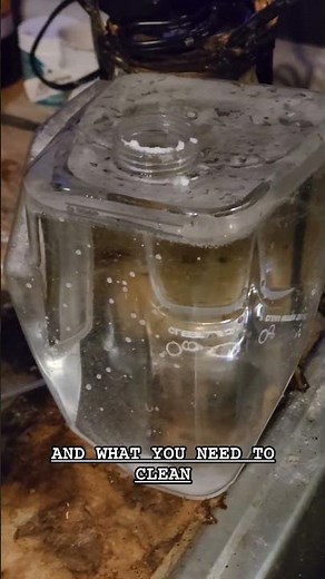 How to Use Rug Doctor Carpet Cleaner -Pro Portable Spot Cleaner Pet Version #Review #Hoover #Bissell