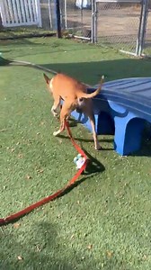 13K views · 476 reactions | UPDATE; WHAT A DISAPPOINTMENT!!! the...