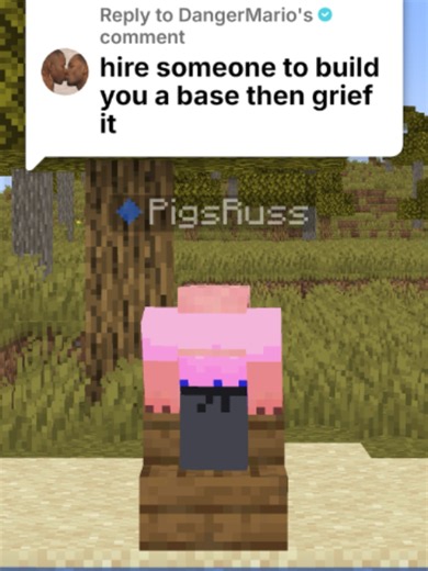 Hiring Someone to Build a Base Then Griefing It on Donut SMP
