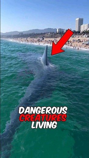 Top 5 Most Dangerous Deep Sea Creatures Ever Discovered 😱