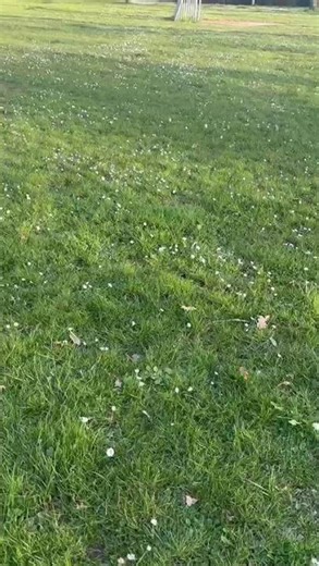 Spring Awakening in Luxembourg