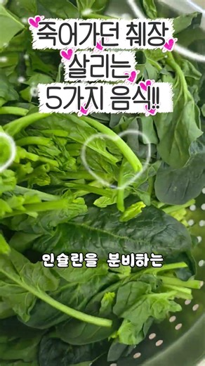 #췌장에 좋은음식 #건강 #건강이최고다 #다이어트 #식단관리 #건강에좋은음식 #영양만점 #최고의음식 #건강정보 #꼬비스토리