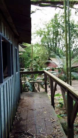 What happens when a T Rex starts running