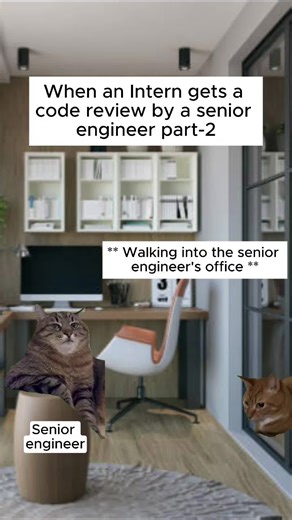 when an intern gets a code review by a senior part 2 #intern #cats #code #programming #software