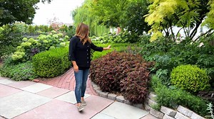 August Garden Tour! 💚😁🌿 | Garden Answer