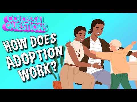 How Does Adoption Work? | COLOSSAL QUESTIONS