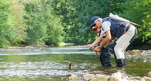 5 Best Trout Streams in the Eastern United States