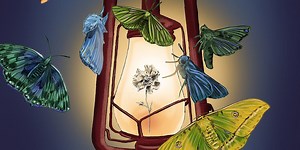 How I colour in Photoshop