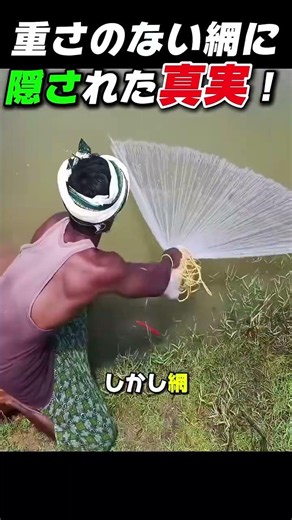 重さのない網に！ 應された真実! #衝撃映像 #謎解き #真実発見 #不思議現象 #秘密の世界