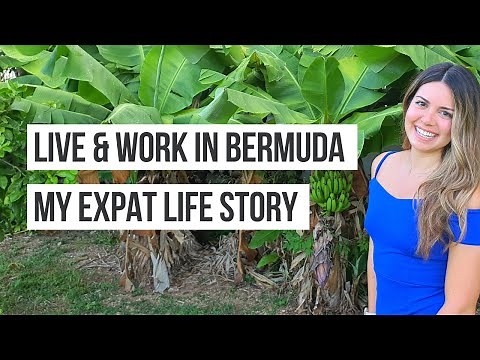 How to Live and Work in Bermuda? (😵 It wasn't EASY! - My expat life story) ¦ Bermuda 2021