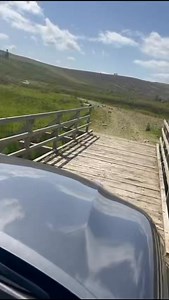 As lapwings begin to gather, to then leave the uplands after a successful breeding season, work continues on the ground to ensure they have a safe return next spring. Many are now heading to lowland fields, wetlands, or coastal areas, where they’ll spend the rest of the year feeding and gathering in flocks Stunning birds that we always look forward to seeing each year #MoorlandMatters #AngusGlens #WorkingForWildlife #RuralVoices #visitscotland #lapwings #waders | Angus Glens Moorland Group