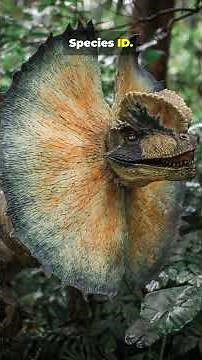 60s to Meet Dilophosaurus (With Feathers?)