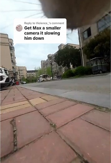 Max the Cat Camera: Up to 20% Discount Available!