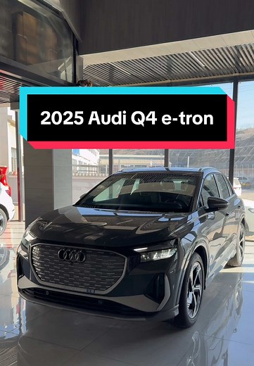 2025 Audi Q4 e-tron Review: Quality and Features