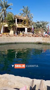 Cleopatra VII fue la última reina de Egipto, una gobernante brillante que habló varios idiomas y defendió la independencia de su reino. Su alianza y romance con Julio César y Marco Antonio marcaron el final de la dinastía ptolemaica y el comienzo del dominio romano. #cleopatra #egipto | Egiptomania Antiguo Egipto