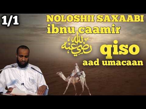 Noloshii saciid ibnu caamir (رضي الله عنه)