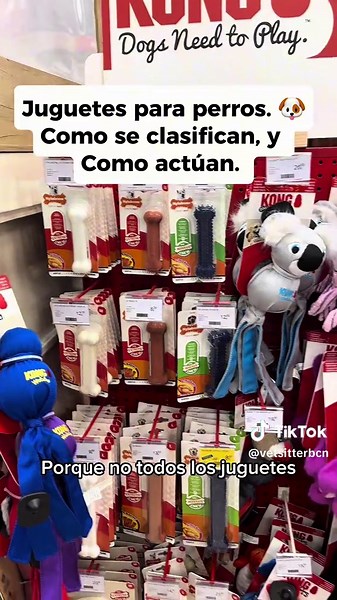 50 segundos para aprender la clasificación, función y cómo actúan los juguetes para tu perro🐶❤️ #amorperruno #vetsitterbcn #comportamientocanino #etologia #foryoupage❤️❤️