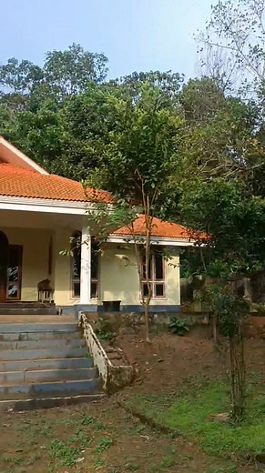 71K views · 419 reactions | 4 bhk single storey home having an area of square 2400 square feet in 30 cents plot for sale at Airattunada near manarcadu kottayam @ 1 cr ( negotiable ) ❤️8714861666 | House and Property Sale | Facebook