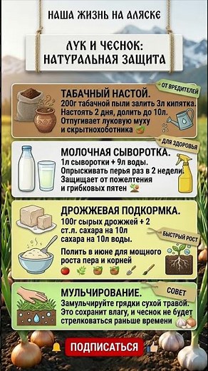 🧅 ЛУК И ЧЕСНОК БУДУТ ЗДОРОВЫ 🌿 Натуральная Защита от Луковой Мухи и Пожелтения ✨ Без Химии