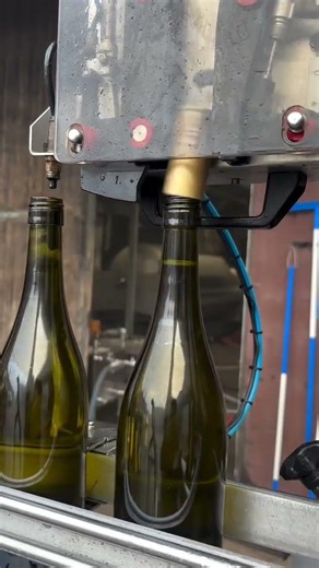 Automatic bottle capping sensor machine #shorts