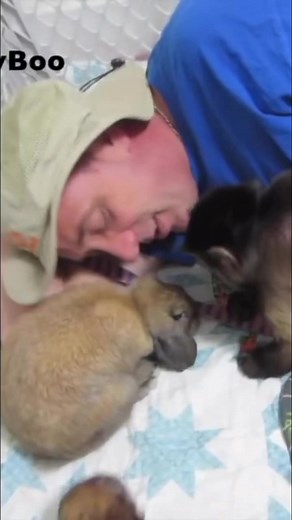 Monkey grooms a rabbit #monkey #friends #cute #pets | MonkeyBoo