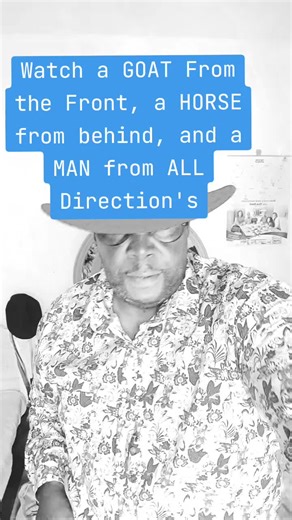 Funny Goat Videos That Make You Laugh