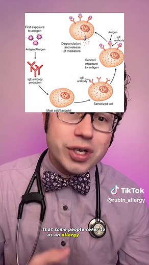 Understanding Cat Allergies: Causes, Symptoms, and Duration