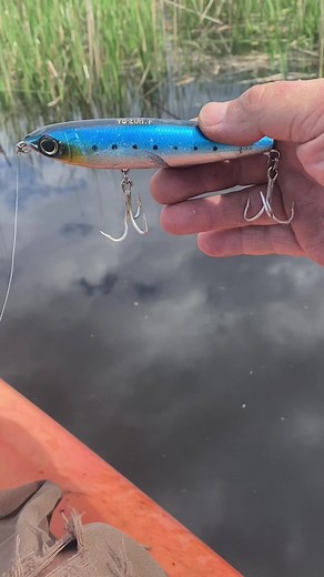 Striped Bass Kayak Fishing Highlights in Massachusetts 2022