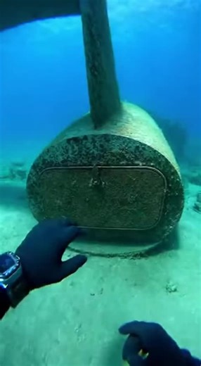 Surprising Encounter with a Snake