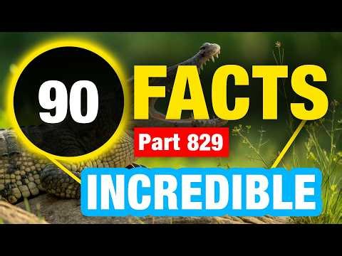91 Incredibly Interesting Facts | Mind Blowing Facts You Didn’t Know