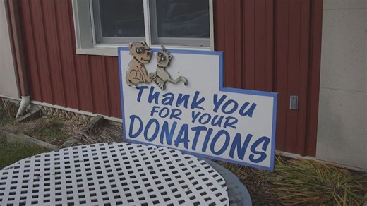 Giving Tuesday: Tips to ensure your donations make a difference