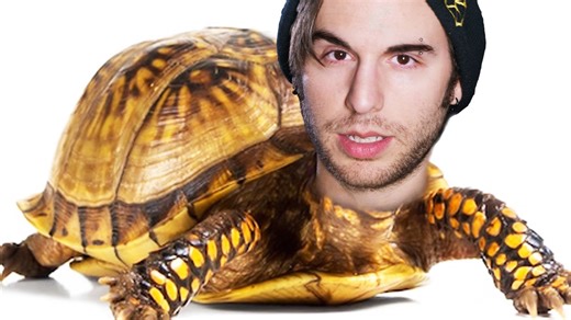 Interactive game lets you pretend to be a turtle