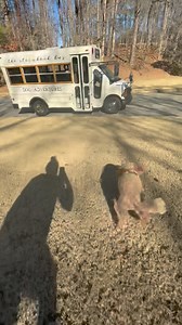 Ruby BEGGED get on the bus…but then had to hop back off and make sure it was ok with her mom. 😂😂 | The Storybook Bus