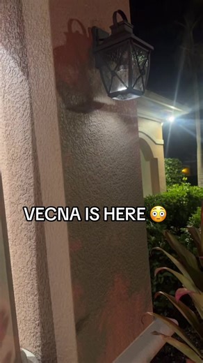 Vecna is in Florida 😳 #explore #viral #strangerthings