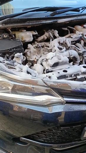 Free Engine Wash with Hybrid Battery Service