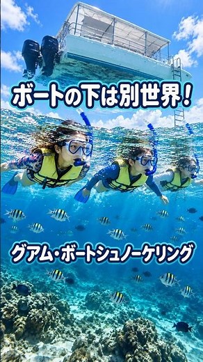 ボートの下は別世界！グアムでボートシュノーケリング体験🐠 #Shorts #guam #シュノーケリング ＃グアム #夏休み