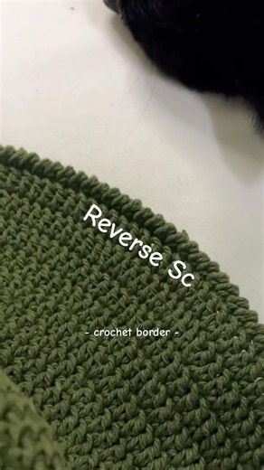 Reverse single crochet border🍀 A reverse, back-and-forth, backward single crochet😂 #crochet #bord...
