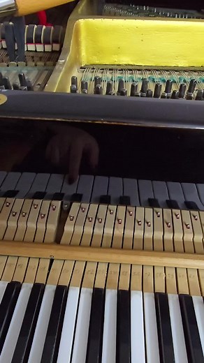 it's a pain... #реставраціяпіаніно #inprocess #pianotuner #pianocover