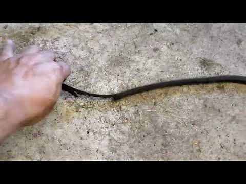 how to really replace a drive belt on a cub cadet 1046 or cub zero turn. 17af9bkh710