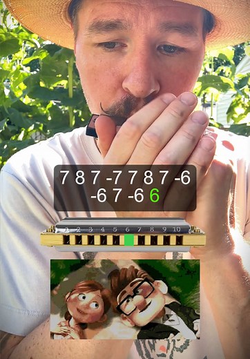 Harmonica Tutorial for 'Married Life' Theme