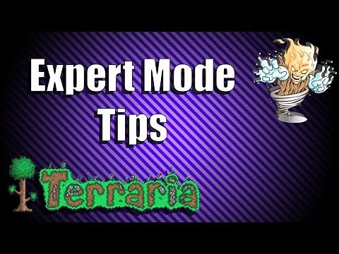 Terraria Expert Mode Tips - Terraria Top 5