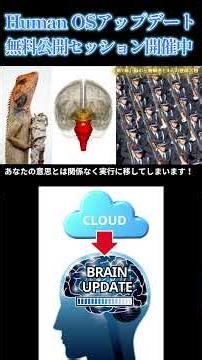 脳の三層構造 ②