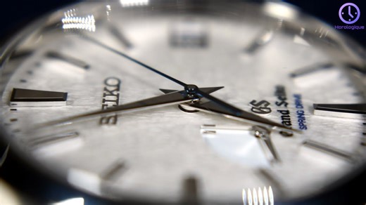 I Bought a Grand Seiko Snowflake | SBGA011 Spring Drive 9R65 | My First Impressions